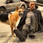 Will Smith is set to return as Dr. Robert Neville in the much-awaited sequel, I Am Legend 2. Get ready for a post-apocalyptic adventure as the film explores urban landscapes reclaimed by nature. Details about the release date, plot, and the addition of Michael B. Jordan to the cast.