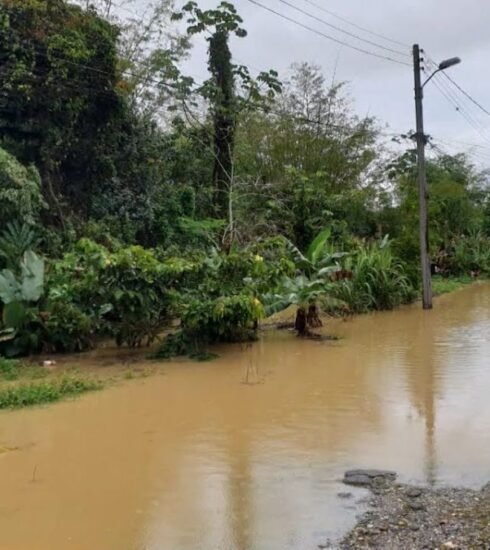 "Eastern and southern Trinidad grapple with devastating floods as heavy rainfall persists, demanding swift emergency responses."