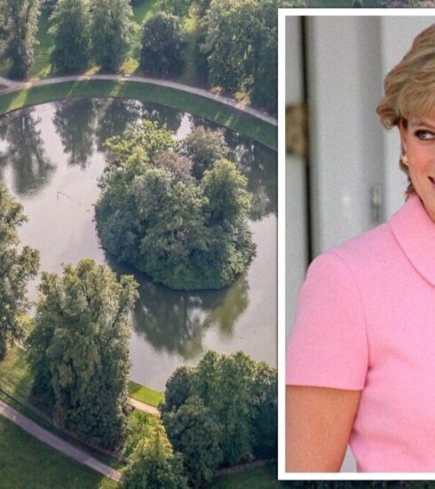 "Karen Spencer's Instagram posts at Althorp House unveil the enchanting beauty of Princess Diana's final resting place, touching the hearts of her admirers."